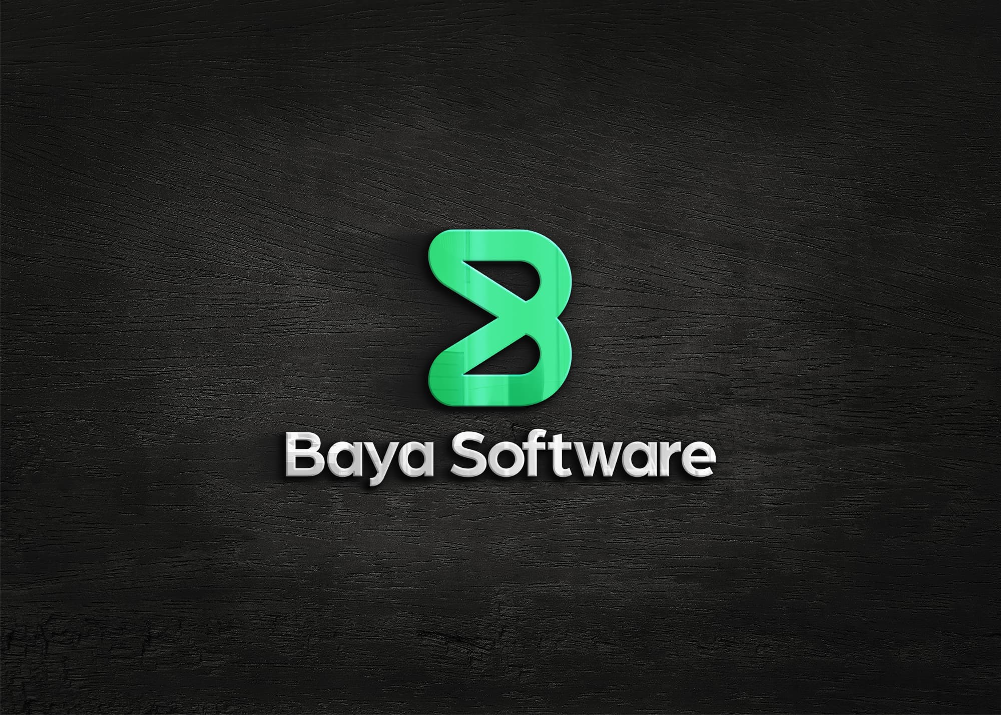 Baya Software Team